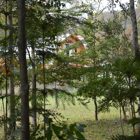Refugios Canto Del Agua Villarrica Exterior photo