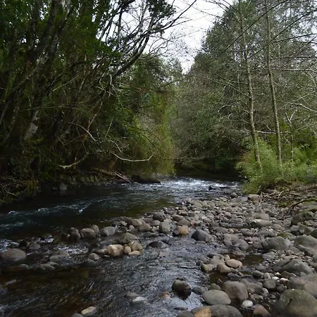 Refugios Canto Del Agua Villarrica Exterior photo